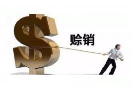 北流北流的要账公司在催收过程中的策略和技巧有哪些？